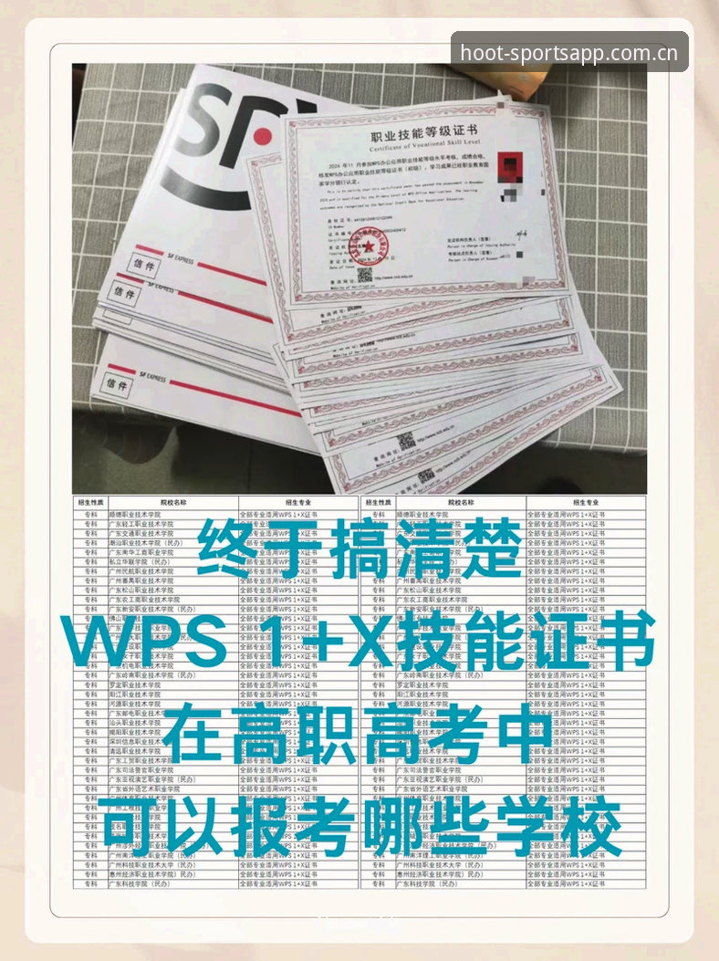 2026猫头鹰体育中国官网5步实操指南：从下载到数据看盘一学就会
