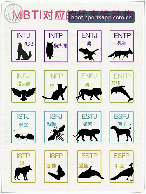 猫头鹰APP中国版必备功能深度解析：从数据洞察到竞技分析的全新体验